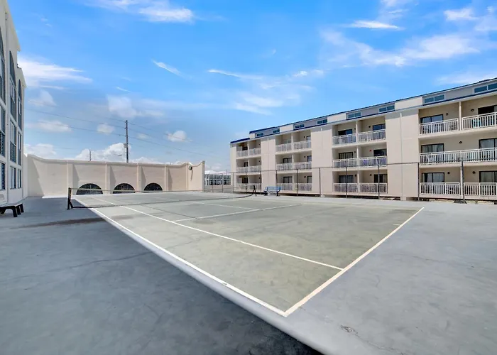 Apartment Sugar 246 By Collection