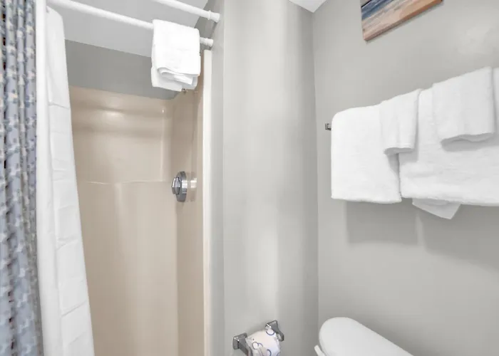 Apartment Sugar 246 By Collection